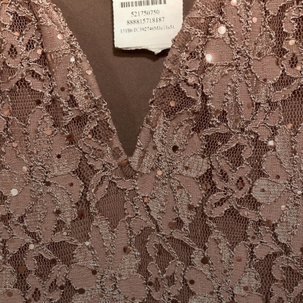 Rose Sequined Mother of Bride/Groom Sheath Column Dress V-Neck Sz 10 - Picture 3 of 12
